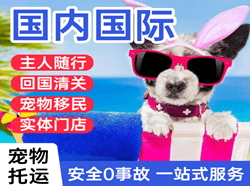 于田万方航空运输国际宠物托运 【国